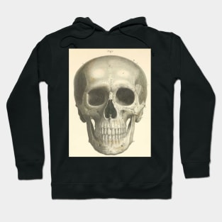 Bones of the Skull from the Front Hoodie